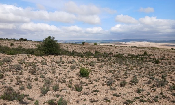 Revente - Parcelle Terrain -
Yecla