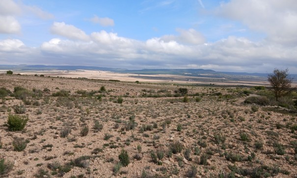 Revente - Parcelle Terrain -
Yecla