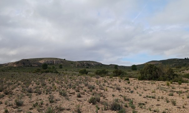 Revente - Parcelle Terrain -
Yecla