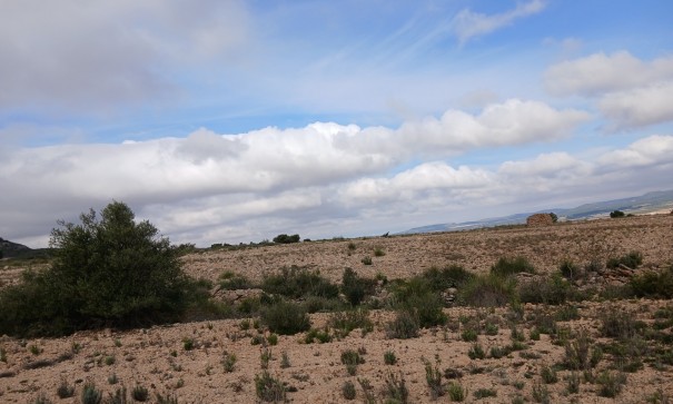 Revente - Parcelle Terrain -
Yecla