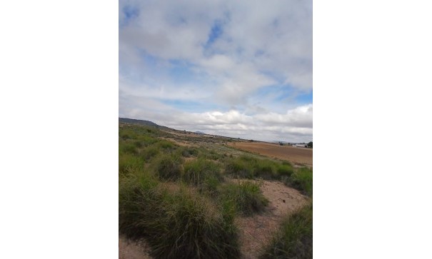 Revente - Parcelle Terrain -
Yecla