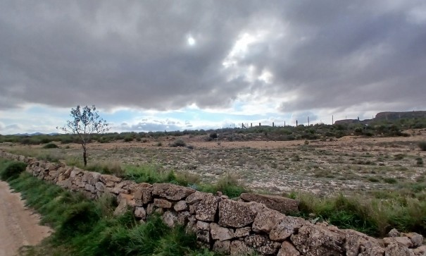 Revente - Parcelle Terrain -
Yecla