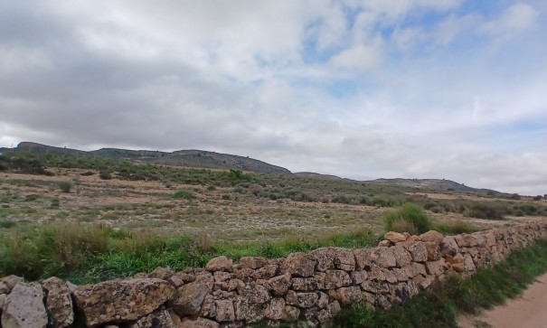 Revente - Parcelle Terrain -
Yecla