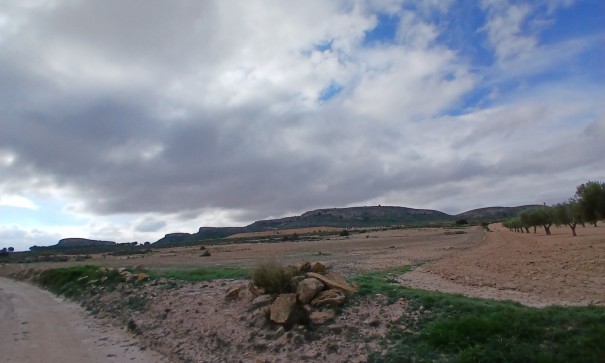 Revente - Parcelle Terrain -
Yecla