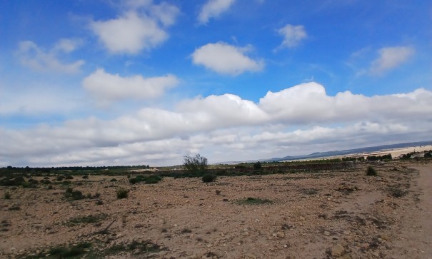 Revente - Parcelle Terrain -
Yecla