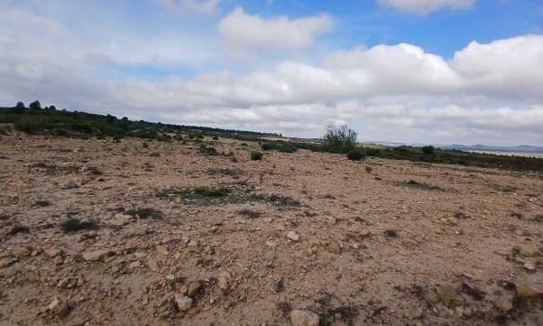 Revente - Parcelle Terrain -
Yecla