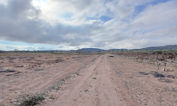 Revente - Parcelle Terrain -
Yecla