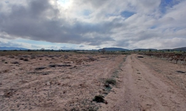 Revente - Parcelle Terrain -
Yecla