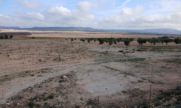 Revente - Parcelle Terrain -
Yecla