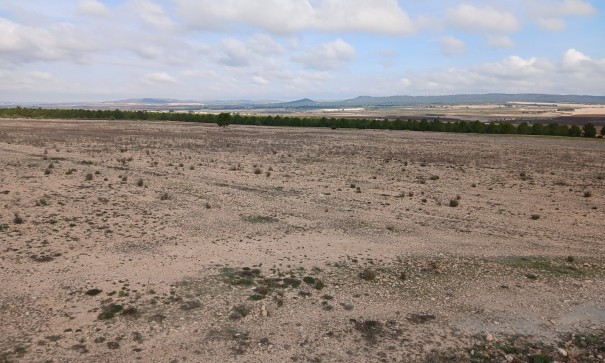 Revente - Parcelle Terrain -
Yecla