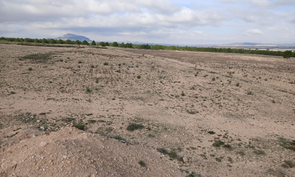 Revente - Parcelle Terrain -
Yecla