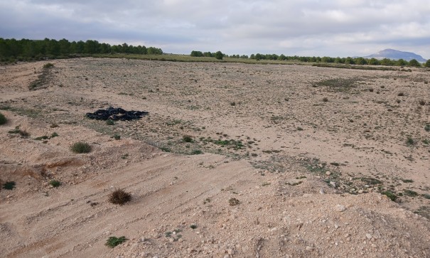 Revente - Parcelle Terrain -
Yecla