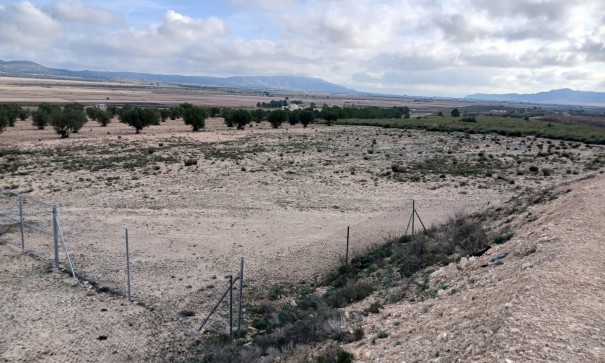 Revente - Parcelle Terrain -
Yecla