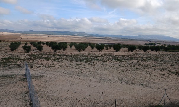 Revente - Parcelle Terrain -
Yecla