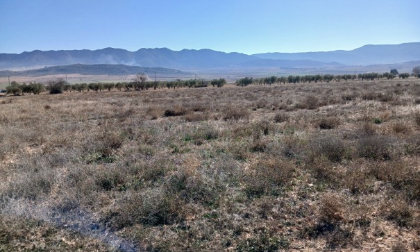 Herverkoop - Perceel Grond -
Yecla