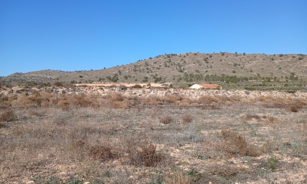 Herverkoop - Perceel Grond -
Yecla