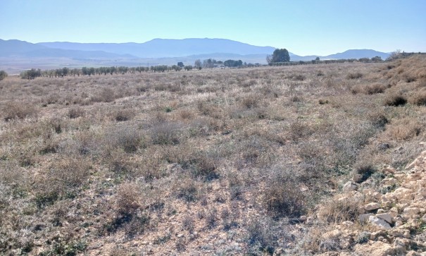 Herverkoop - Perceel Grond -
Yecla