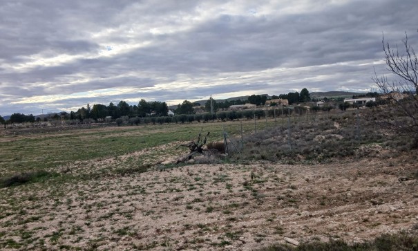 Sale - Plot Land -
Yecla