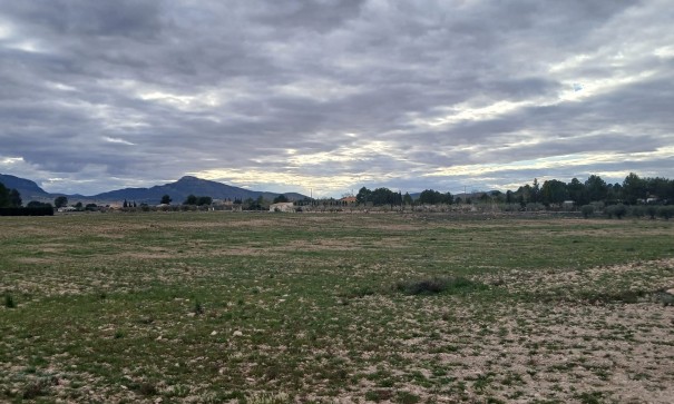 Sale - Plot Land -
Yecla