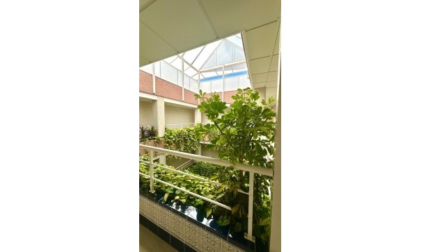 Sale - Apartment Flat -
Torrevieja - Centro