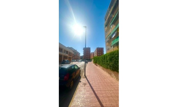 Sale - Apartment Flat -
Torrevieja - Punta prima