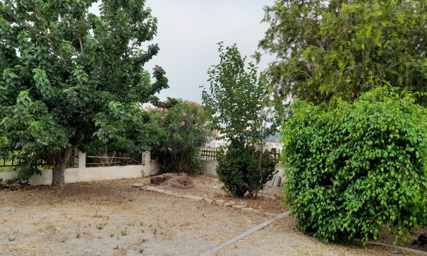 Herverkoop - Finca Landelijk pand -
Benejúzar