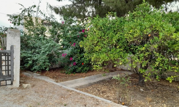 Herverkoop - Finca Landelijk pand -
Benejúzar