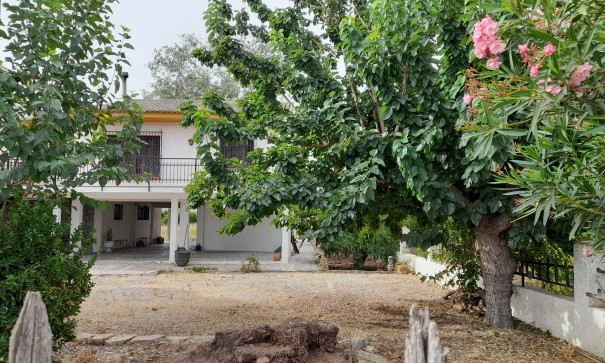 Herverkoop - Finca Landelijk pand -
Benejúzar