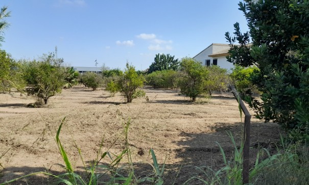 Herverkoop - Finca Landelijk pand -
Benejúzar