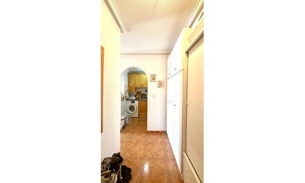 Videresalg - Lejlighed lejlighed -
Torrevieja - torrevieja