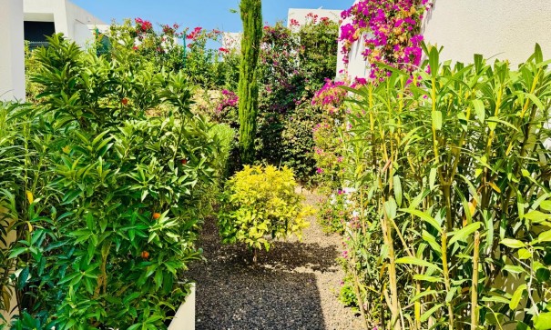 Sale - Detached Villa -
Algorfa - La finca Golf