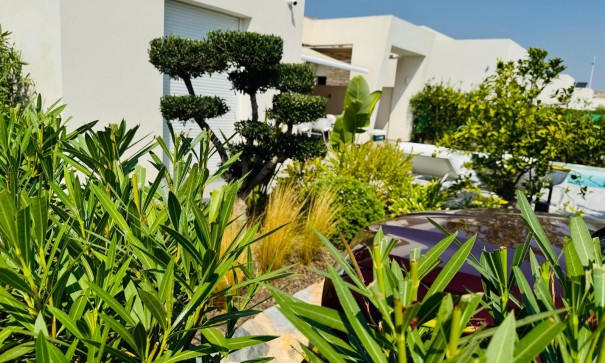 Sale - Detached Villa -
Algorfa - La finca Golf