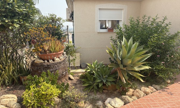 Sprzedaż - Willa wolnostojąca -
Algorfa