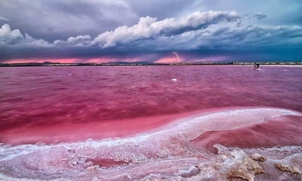 New Build - Apartment Flat -
Torrevieja - Center