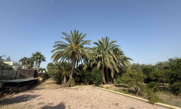 Resale - Finca Landgut -
Catral