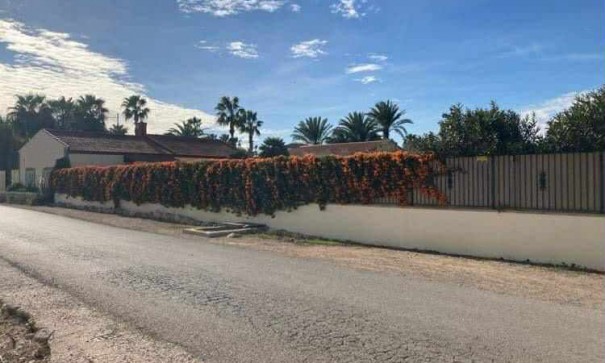 Resale - Finca Landgut -
Catral