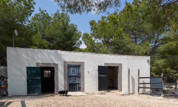 Videresalg - Finca landejendom -
Torremendo