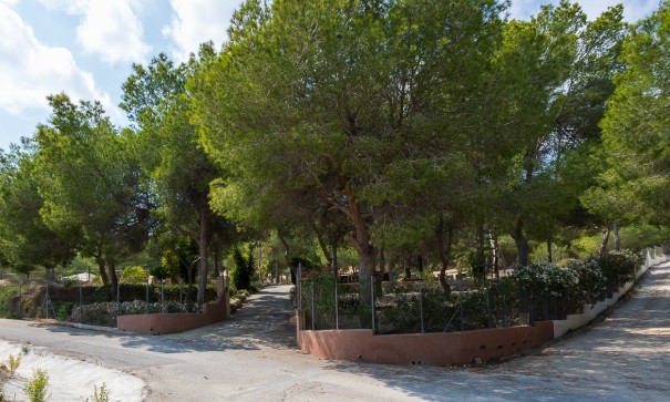 Videresalg - Finca landejendom -
Torremendo