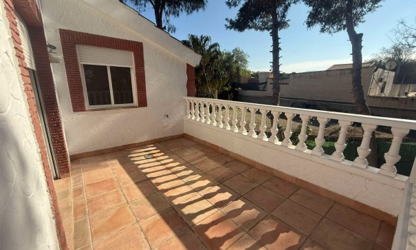 Venta - Finca Propiedad rural -
Orihuela