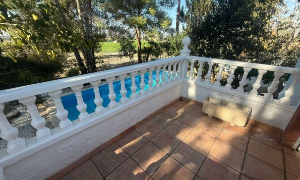 Venta - Finca Propiedad rural -
Orihuela