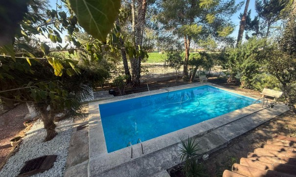 Venta - Finca Propiedad rural -
Orihuela