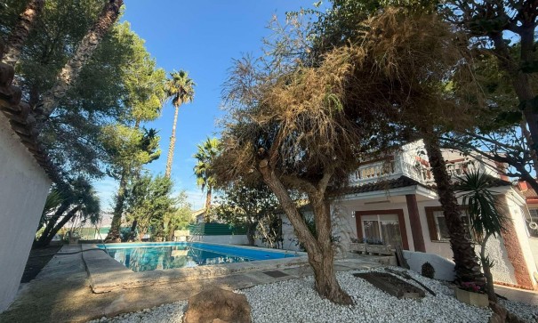 Venta - Finca Propiedad rural -
Orihuela