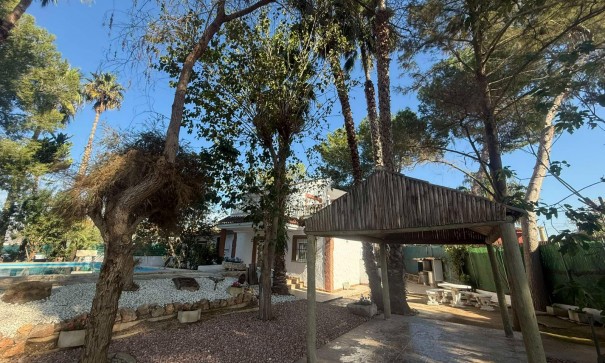 Venta - Finca Propiedad rural -
Orihuela