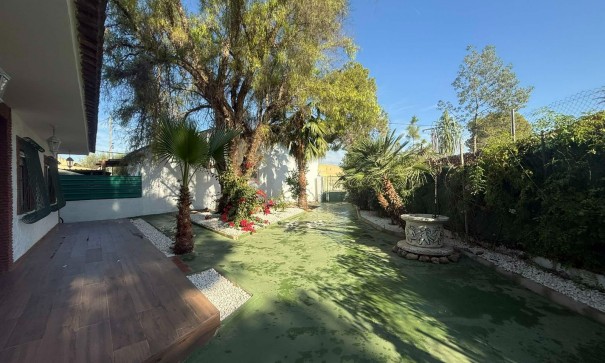 Venta - Finca Propiedad rural -
Orihuela