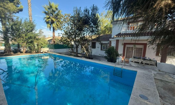 Venta - Finca Propiedad rural -
Orihuela