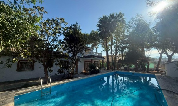 Venta - Finca Propiedad rural -
Orihuela