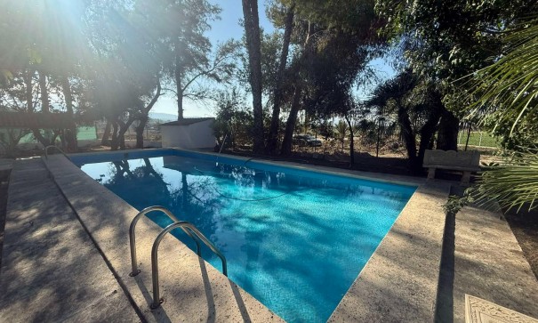 Venta - Finca Propiedad rural -
Orihuela