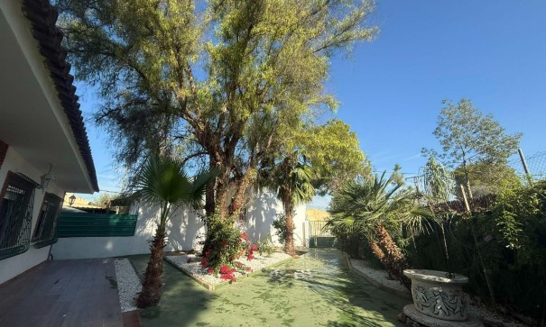 Venta - Finca Propiedad rural -
Orihuela