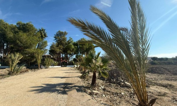 Venta - Finca Propiedad rural -
Orihuela