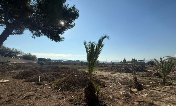 Venta - Finca Propiedad rural -
Orihuela